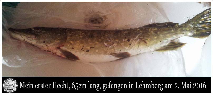 2016_hecht1