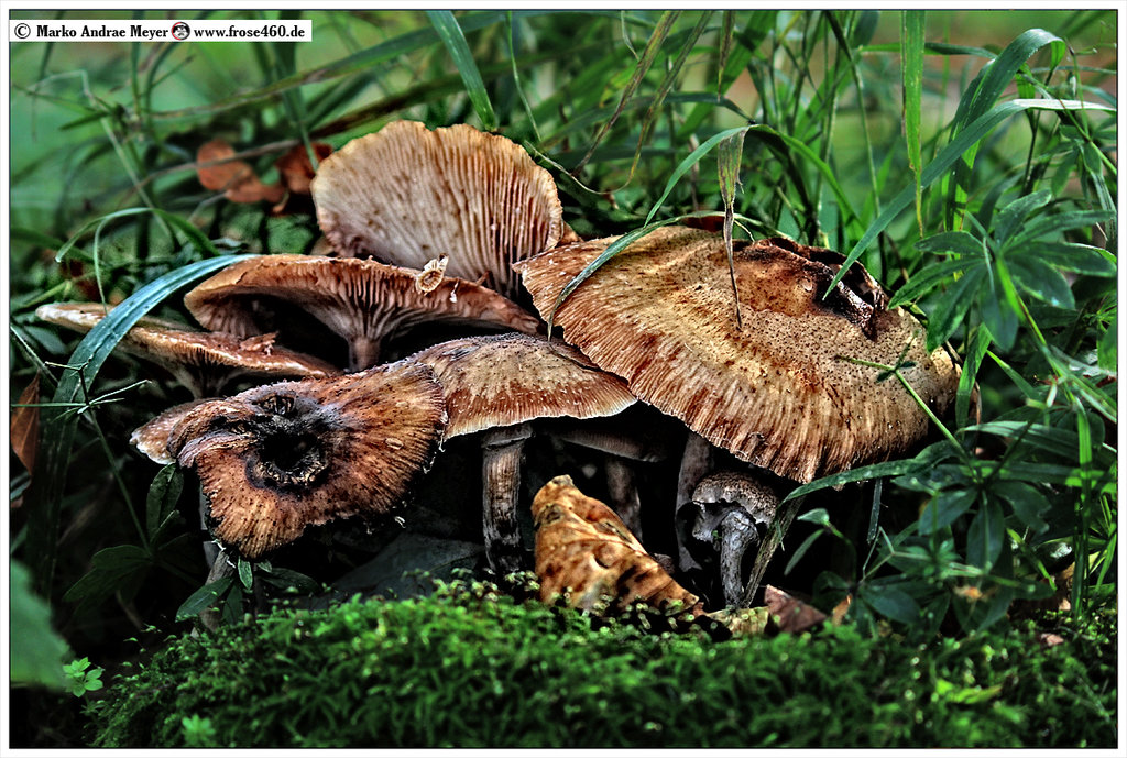 15 Km auf dem&nbsp;Fahrrad