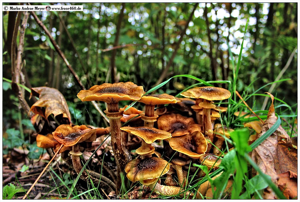 Noorumrundung mit dem&nbsp;Fahrrad