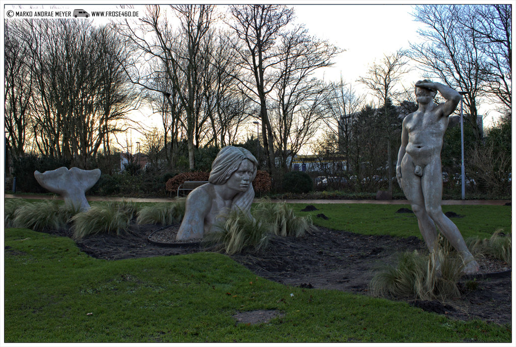 Die letzten Fotos des Jahres&nbsp;2017