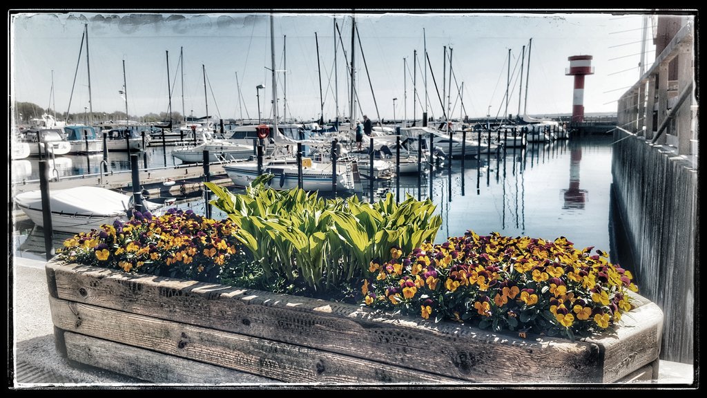 Spontane Umrundung vom Windebyer&nbsp;Noor