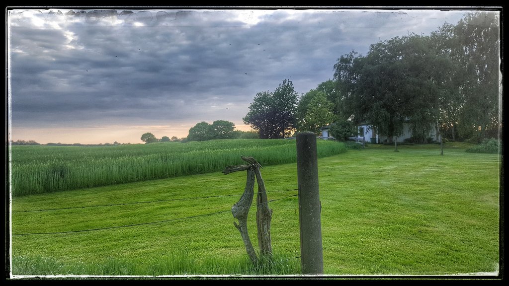 Leistungssteigerung am Bus /&nbsp;Mohrbergtreffen