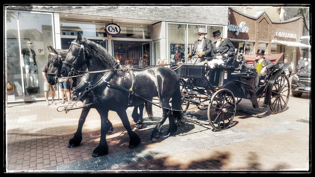Ein leicht aktiver&nbsp;Tag