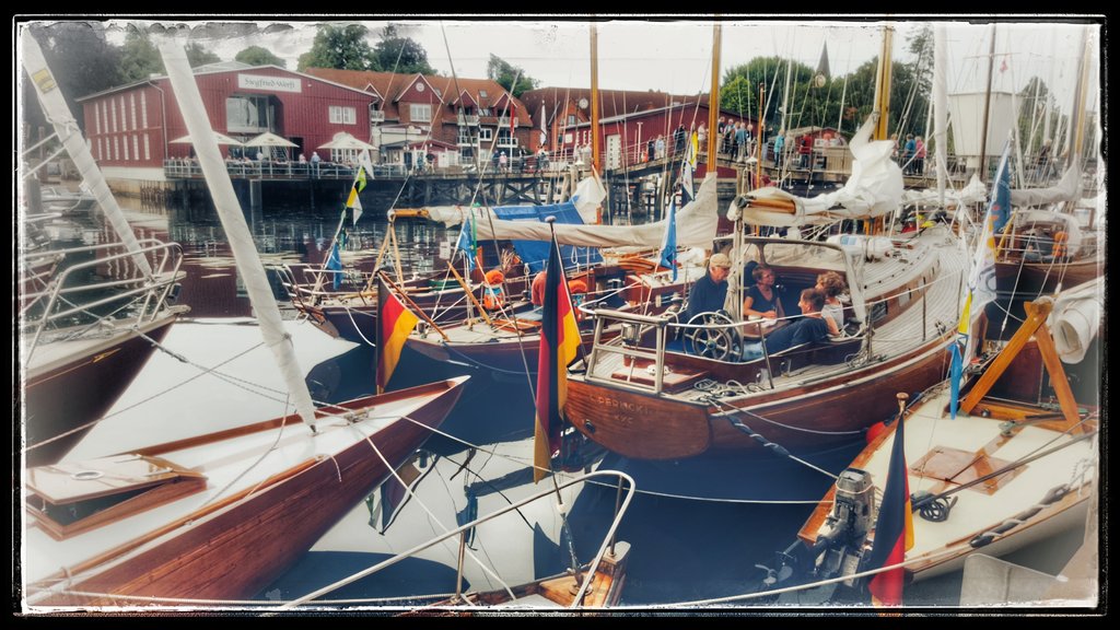 Fotos von der&nbsp;Aalregatta