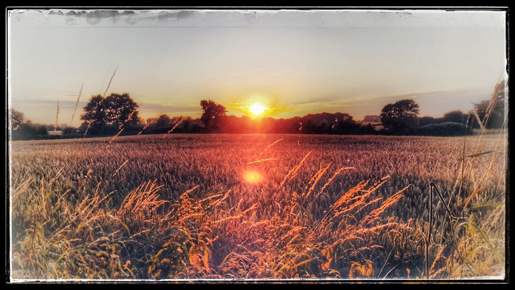 Butangaskocher/Grillplatte eingeweiht