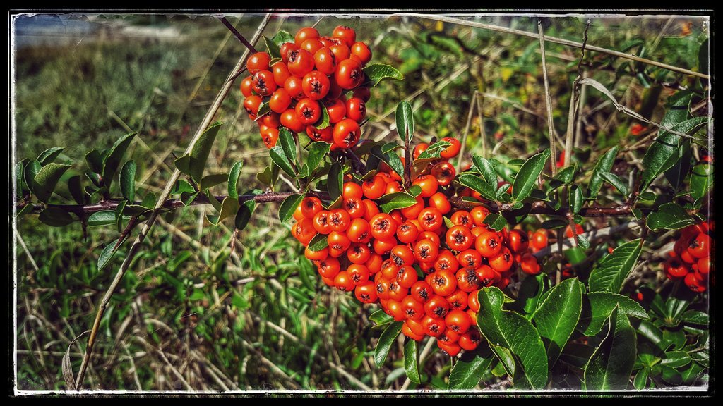 Der Herbst ist&nbsp;da…