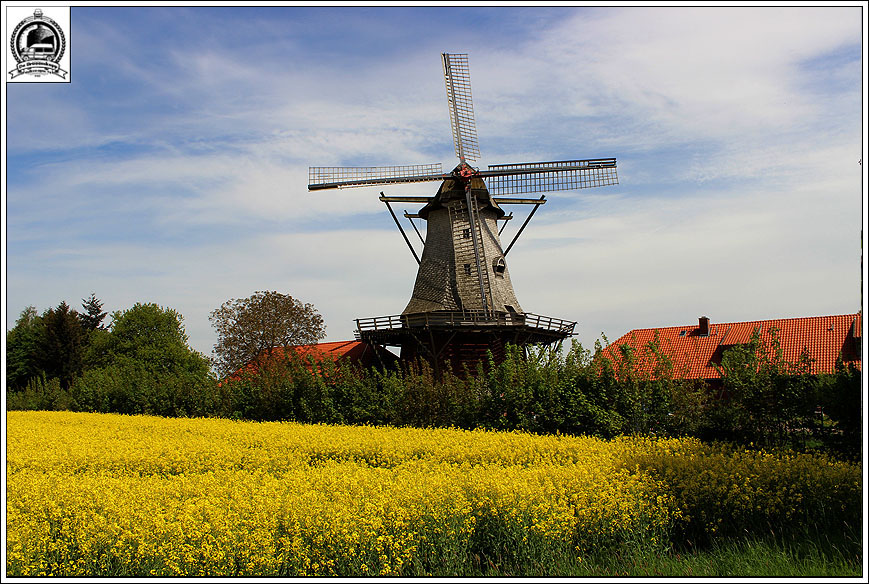 Lüneburger Heide ohne Heidekraut (alter Reisebericht)