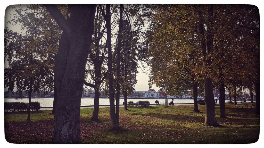 Termine erledigt / Anlasser gefunden