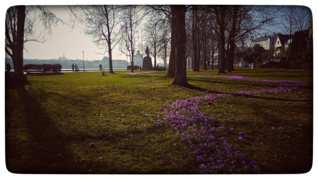 Februar 2019, wir hatten schon schlimmere&nbsp;Sommer…