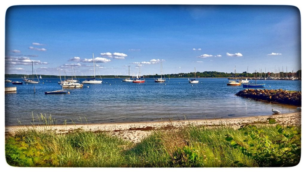 Fehlkauf / Werkstatt / Lockdown wird&nbsp;gelockert