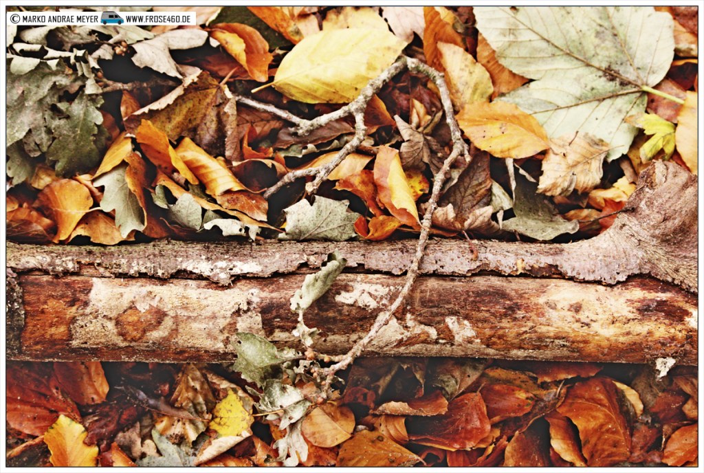 Rückfall // Unfall // Umfall // Vorfall und überhaupt…