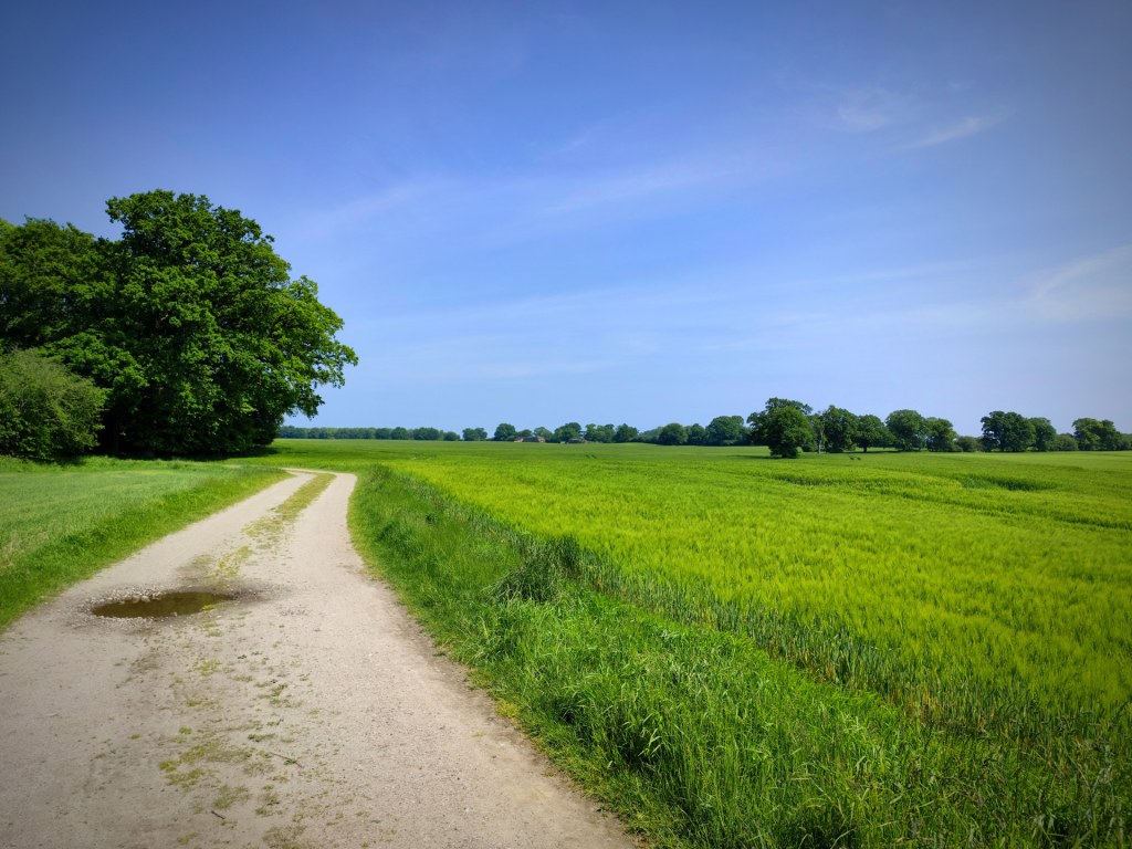 1 Schritt vor & 2&nbsp;zurück