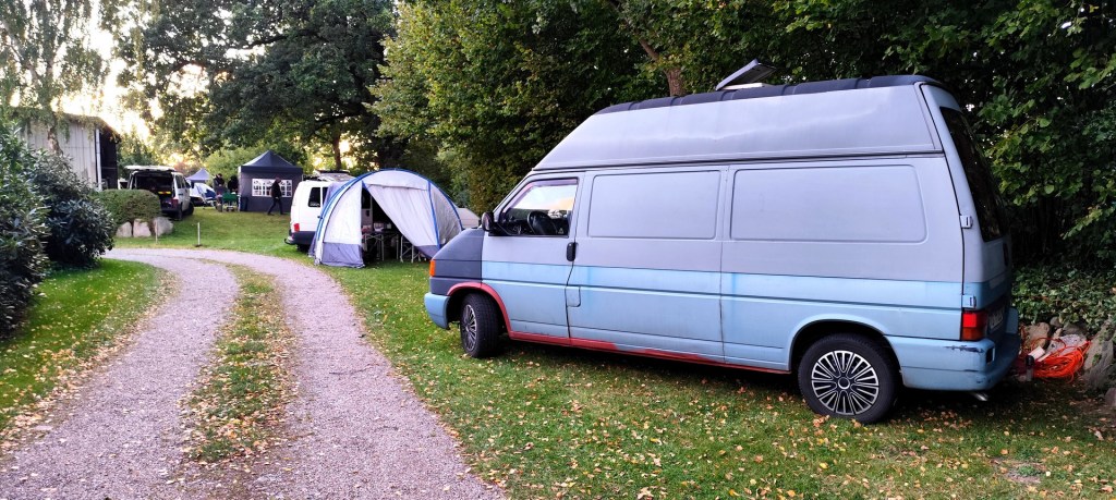 Mohrbergtreffen (Tagesgast)