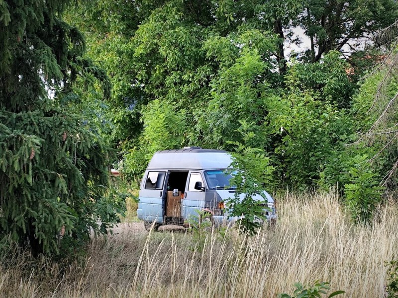 Transporter oder Surferbulli???