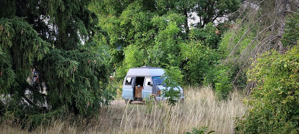 Transporter oder Surferbulli???